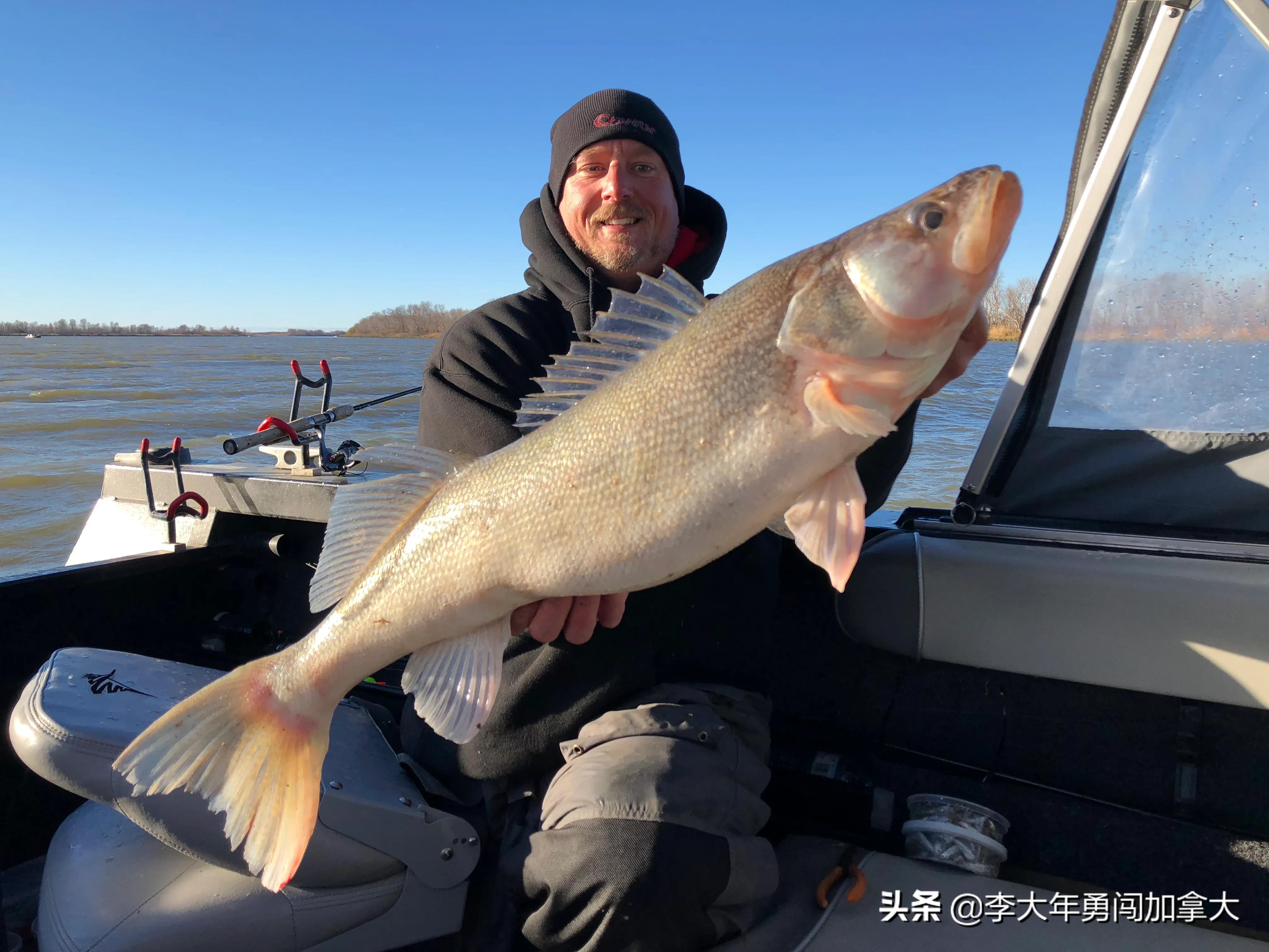 移民加拿大后，有什么不一样的