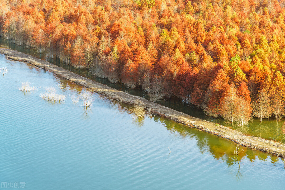全民k歌提高胜率,全民k歌聊天敏感数字