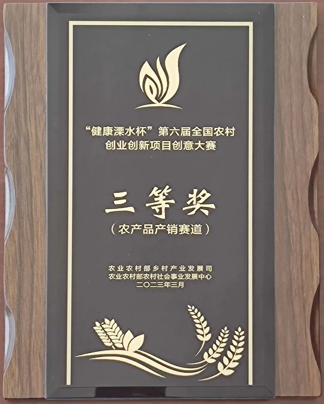 赞！平度这个项目荣获全国三等奖