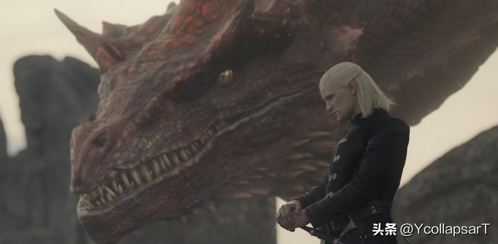 龙之家族第10集分析,龙之家族第8集国王临终遗言