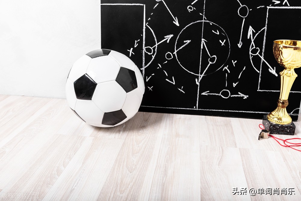 有言有味说单词30讲,有言有味说单词