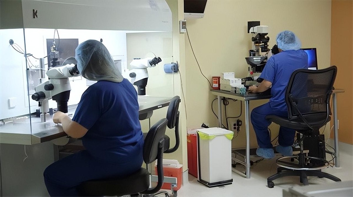 美国产妇生下双胞胎竟是异父同母,美国24岁的女子生下12个双胞胎