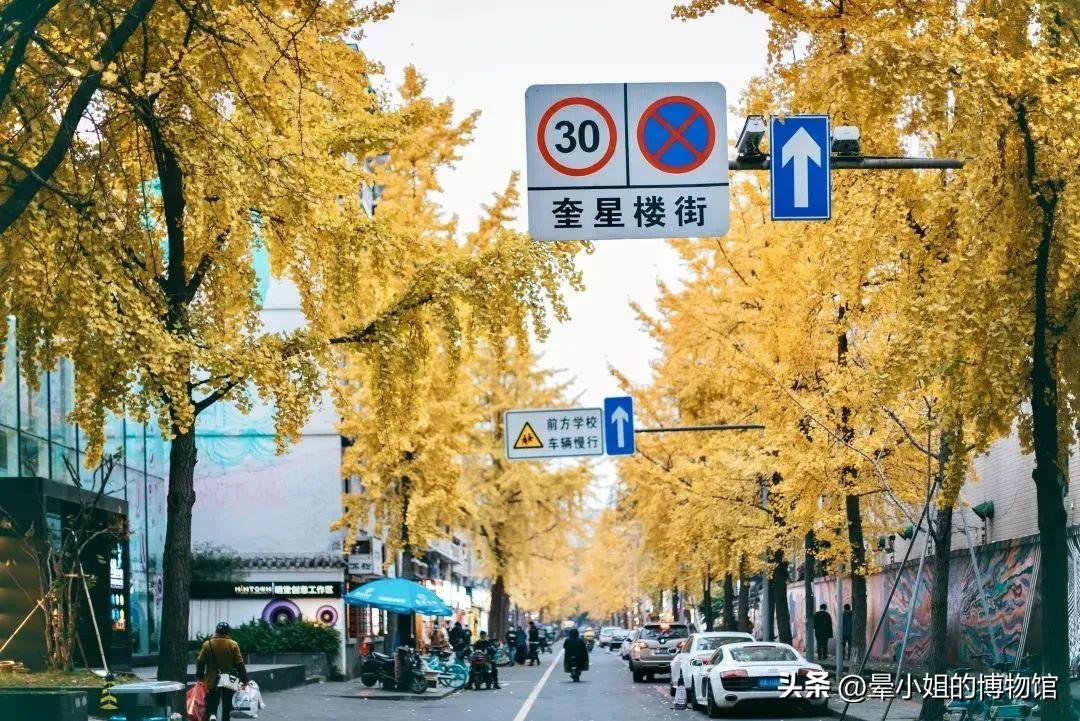 最新成都奎星楼街美食攻略,奎星楼成都吃客必点的菜品