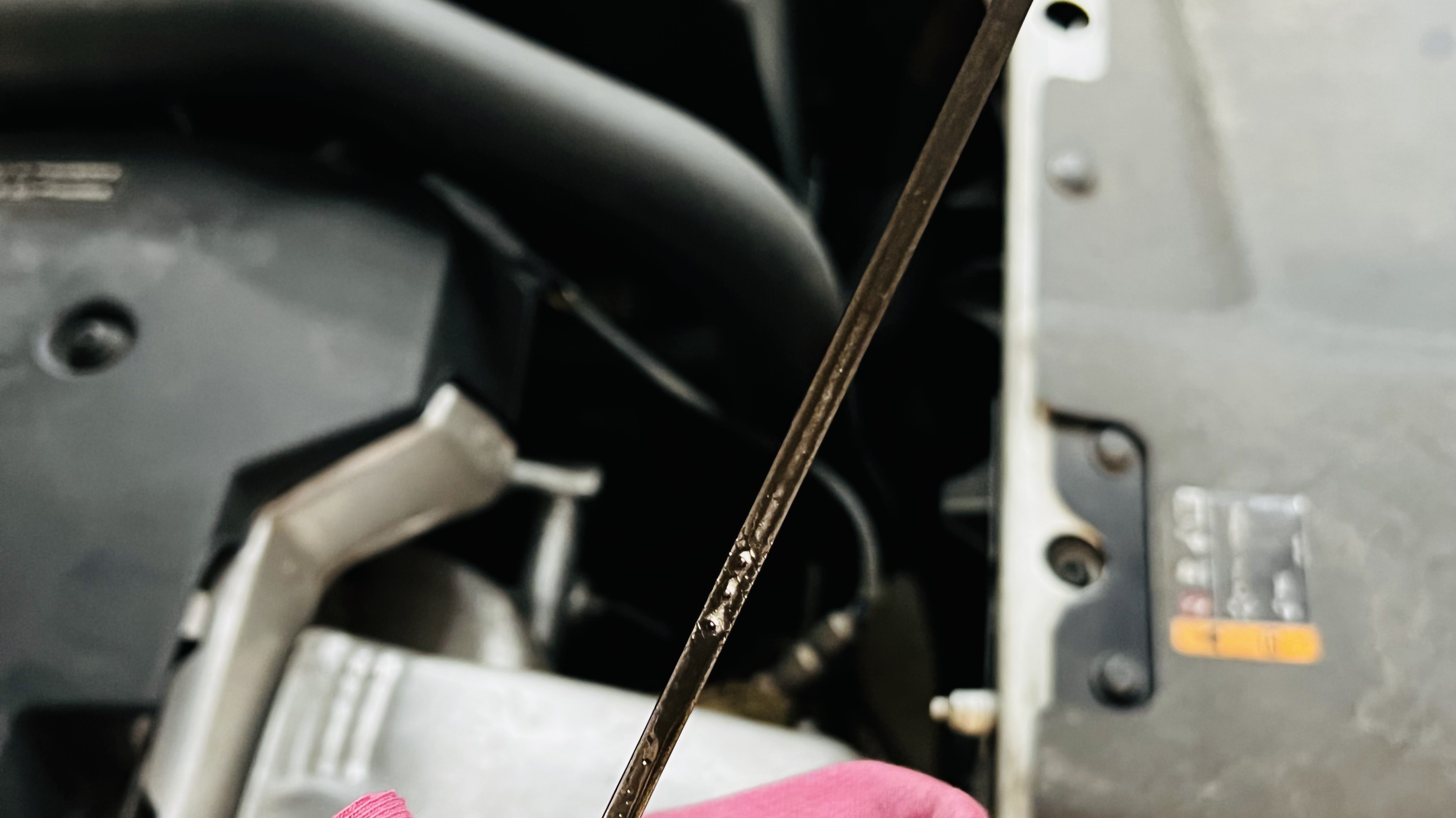 艾伦养护注意事项,艾伦怎样养护