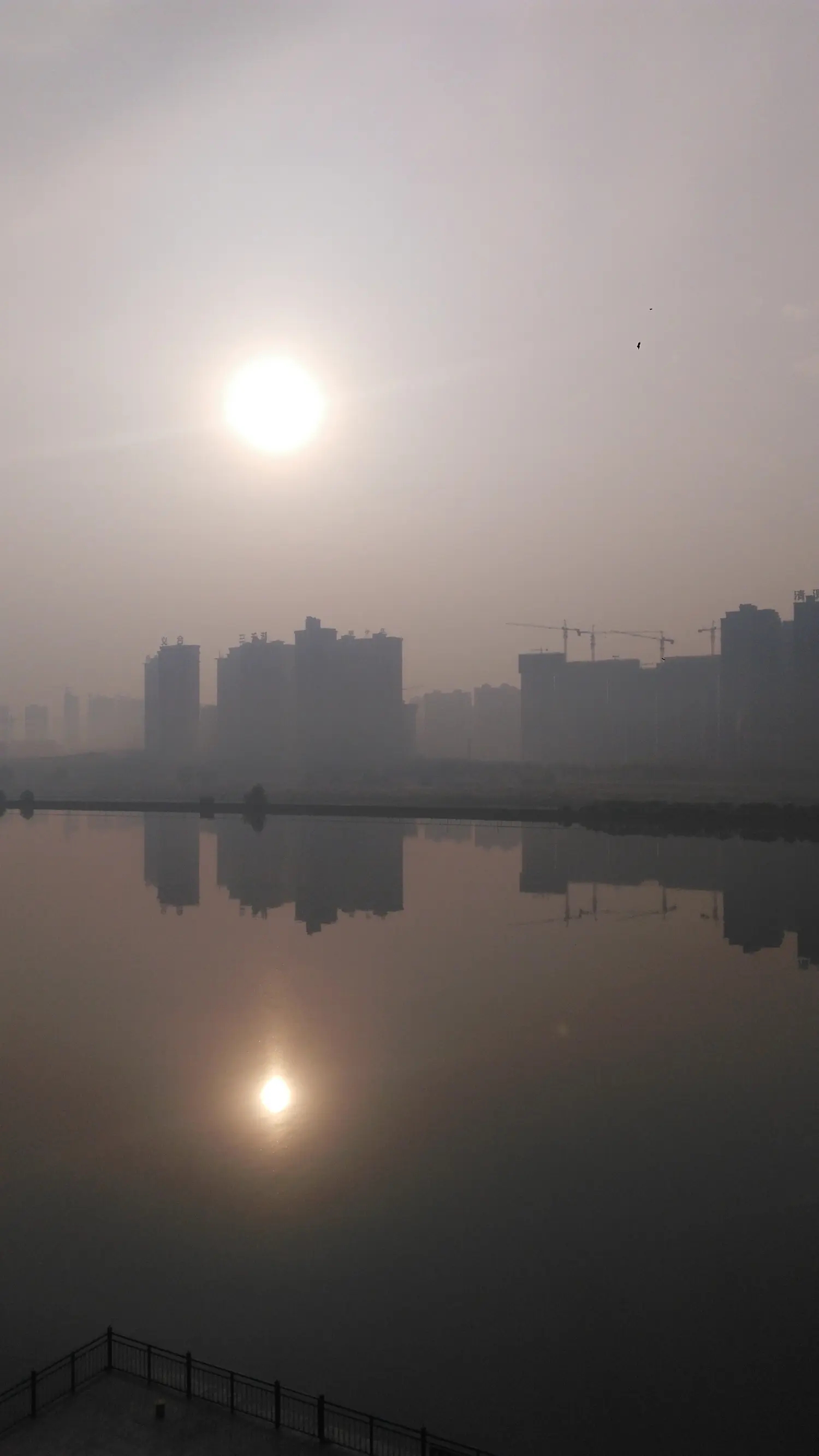 风雨廊桥合集,风雨廊桥动画片全集