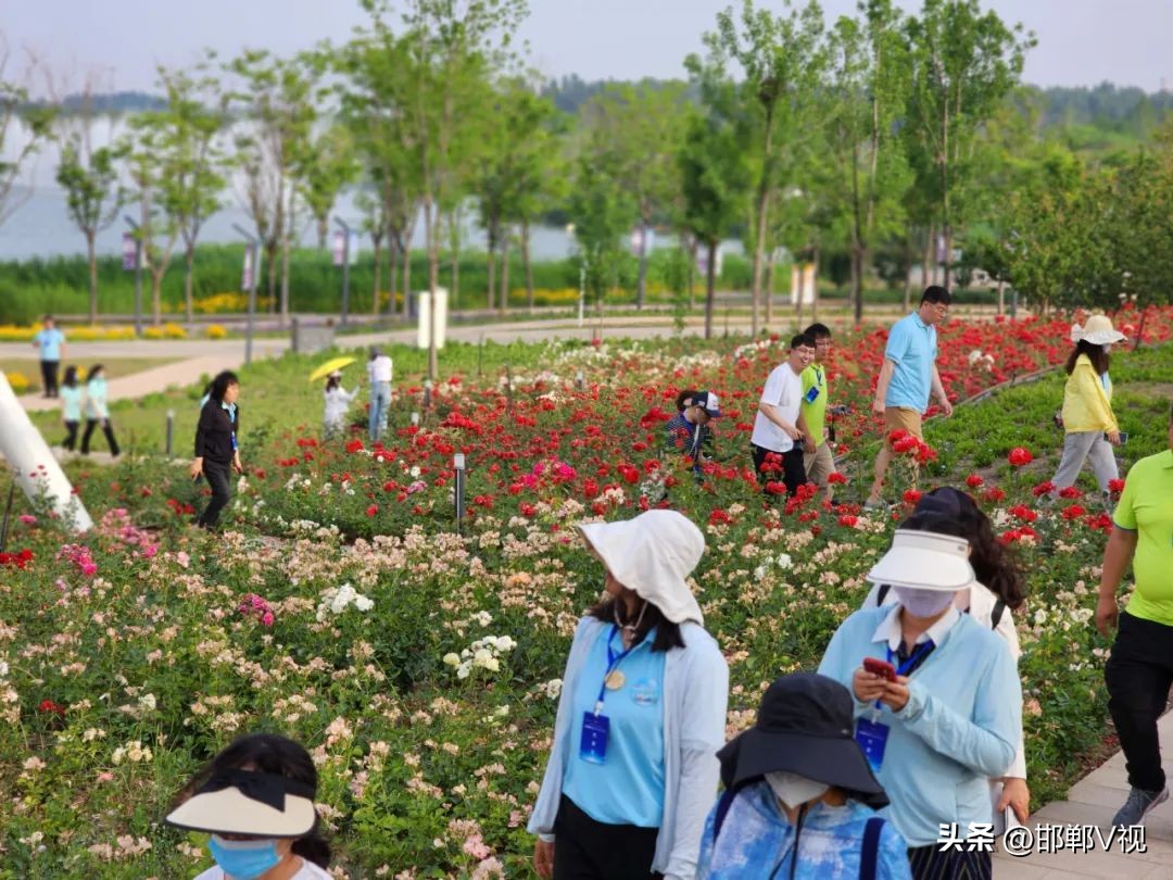 遇见邯郸，遇见美——畅行中国·全国百城百台走进邯郸大型融媒传播主题采访活动之四