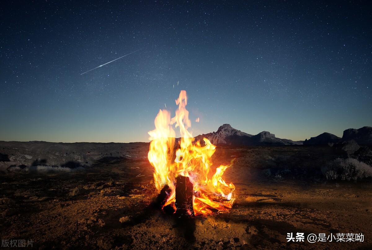 超经典都市言情小说,都市爽文小说十大巅峰之作排行榜