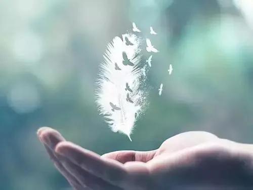 当爱情被欺骗了怎么办,当婚姻里出现了谎言和欺骗