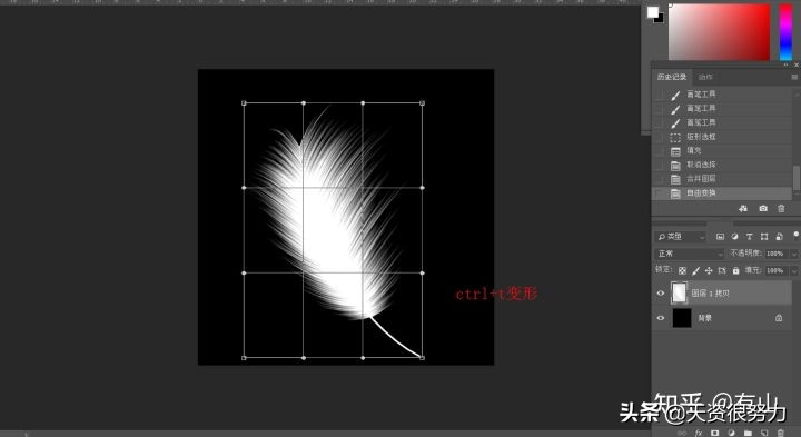 ps怎么制作羽毛动画教程,ps羽毛飞舞特效教程