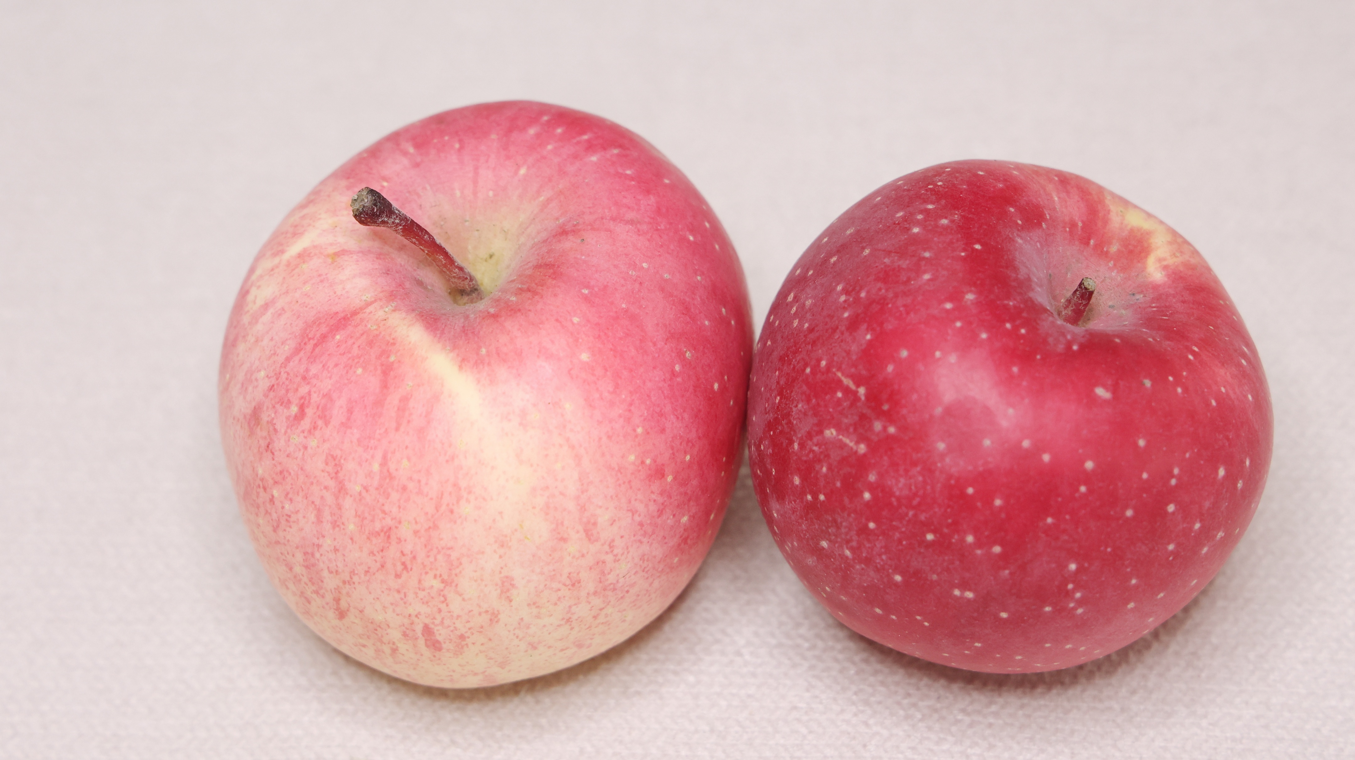 好吃的脆苹果怎么挑,好吃的苹果怎么分辨