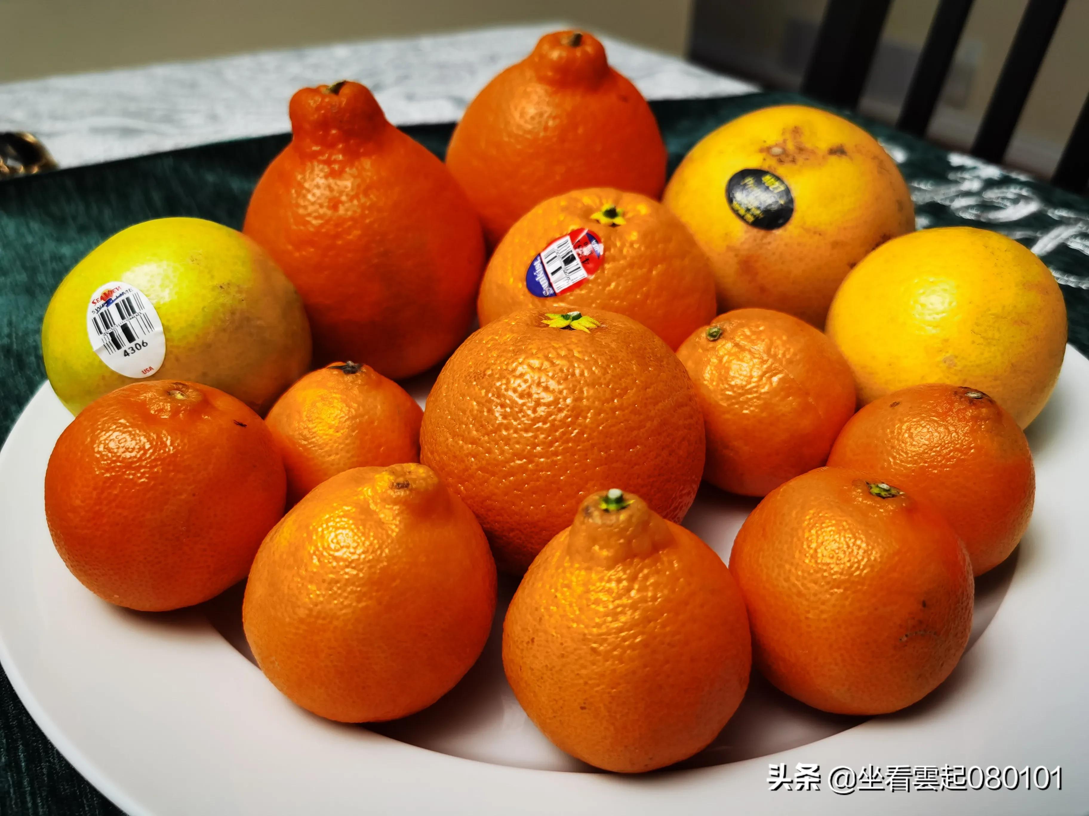 柑橘的一首诗,柑橘诗词