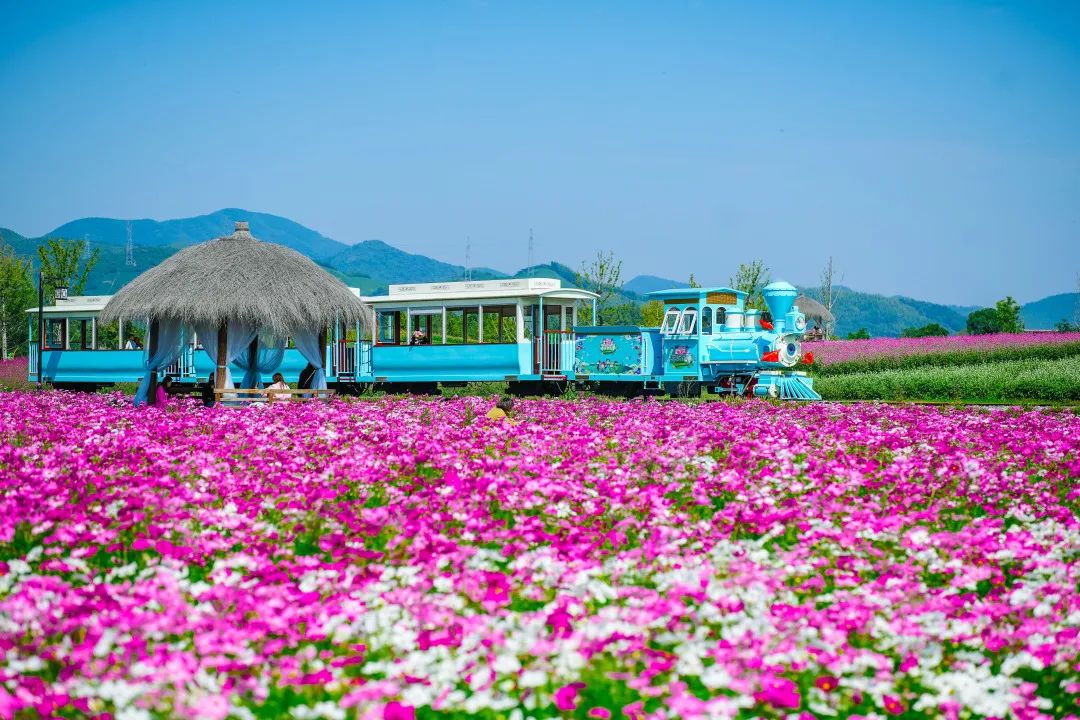 六一带娃去哪玩这个地方别错过,六一带孩子出游推荐