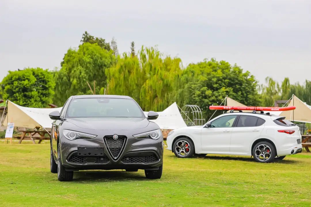 阿尔法罗密欧走街视频,阿尔法罗密欧高速冲坡