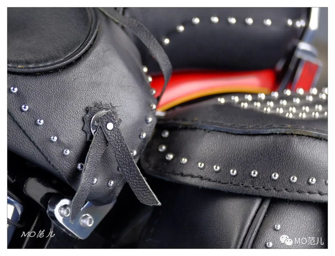 车模该有的样子,车模能有多好看