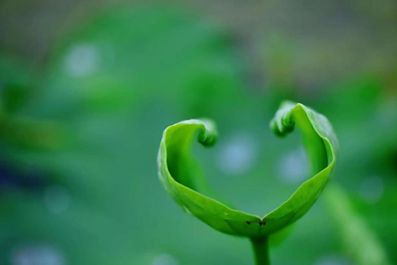 描写春末初夏的古诗词,初夏风光的诗句有哪些