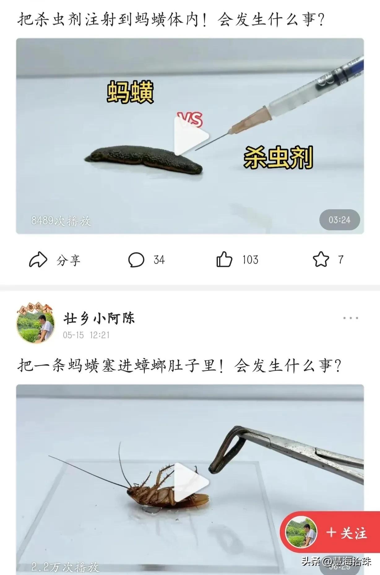 为什么有些人喜欢杀动物,为什么有人会虐猫或虐狗