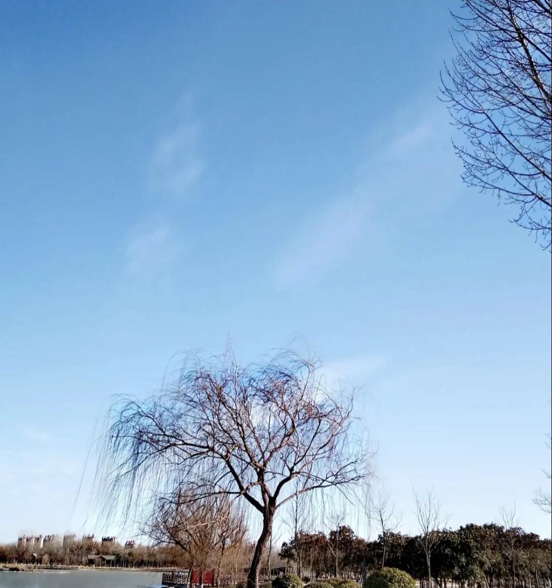 城中花园，美且泊车方便，重要的是不需要掏一分钱门票（二）