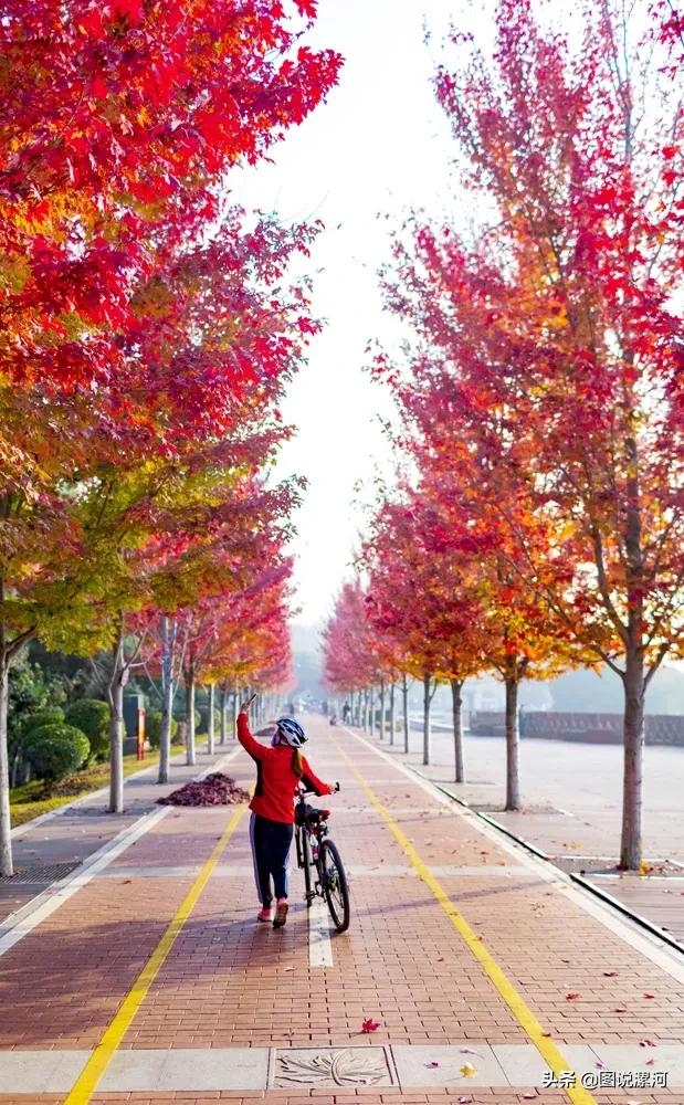 获奖摄影比赛作品,摄影比赛获奖名单公示