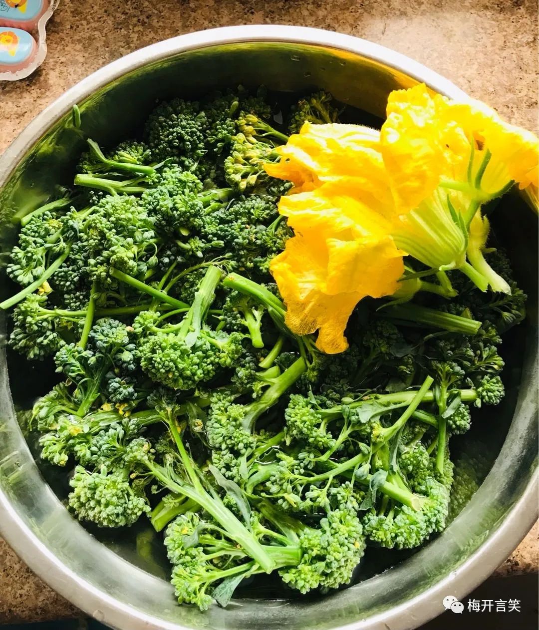 在澳洲种菜日记,我在澳洲学医