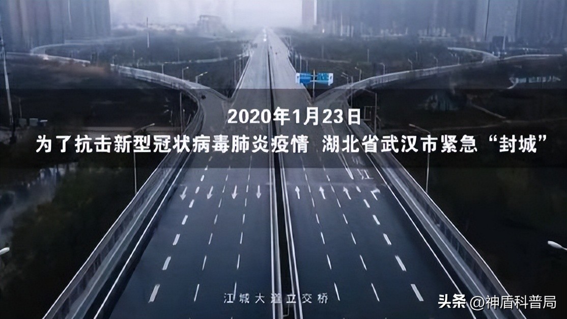 假如全球爆发新冠病毒,假如全国疫情结束会发生什么