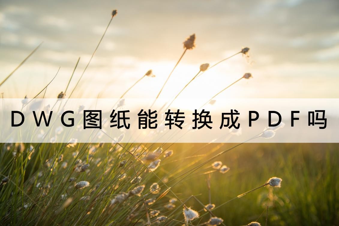 dwg转换成pdf后怎么图纸都是一个点,cadpdf文件怎样转换成dwg文件