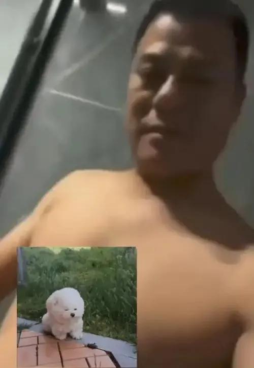 合肥小杨哥爸爸事件视频,小杨哥他爸事件视频