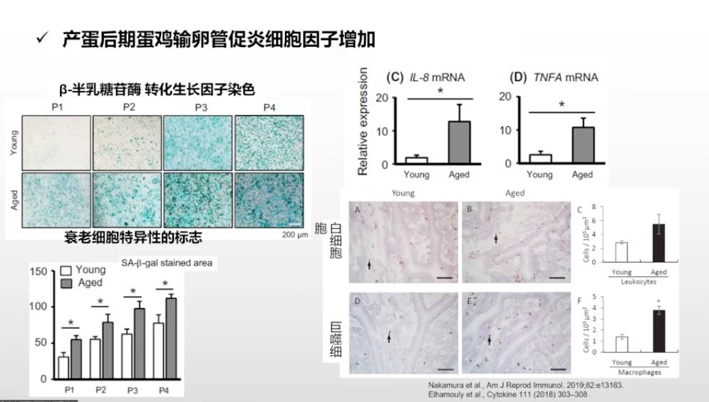 中农优嘉饲料好在哪方面,中农优嘉预混料质量怎么样