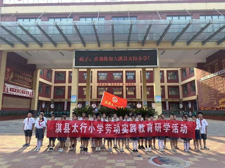 劳动实践促成长心得,劳动助成长实践促发展记录表