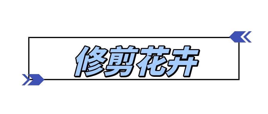 检查手套和医用手套有什么区别,医用检查手套好用吗