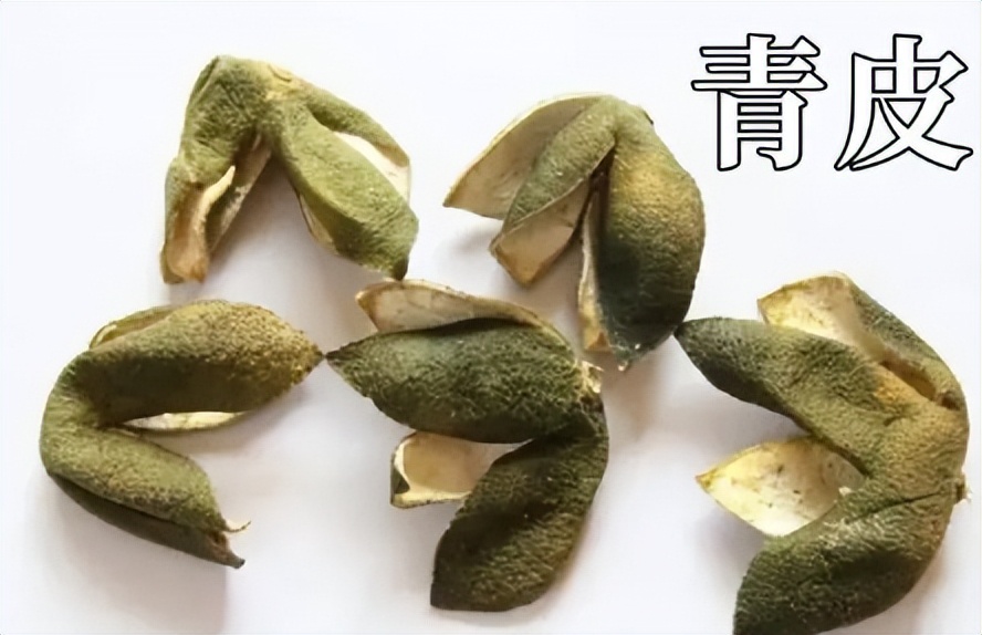 中药青皮,每日一味中药陈皮