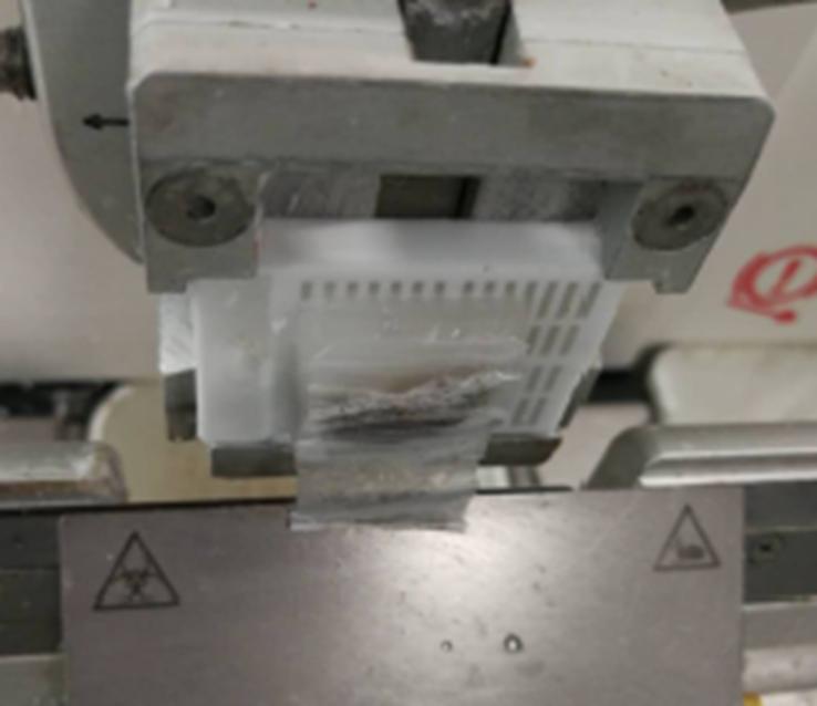 石蜡组织切片的注意事项,为什么石蜡切片不连贯