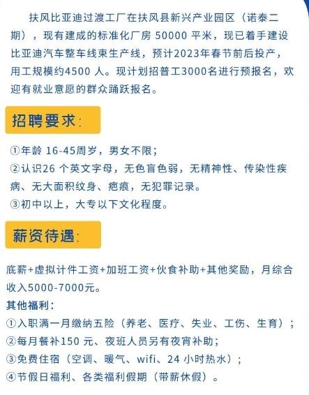 特斯拉走下神坛,特斯拉跌下神坛