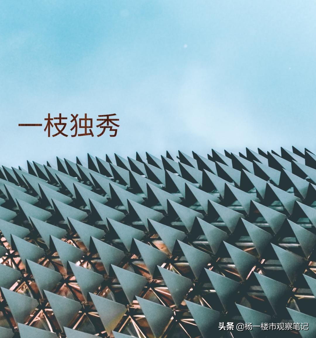 重庆卖得最好的30个板块,2021年重庆卖得最好的楼盘