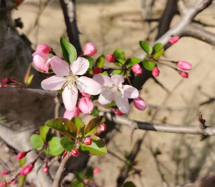 菜市场里的东西都是坑人的吗,去菜市场千万不要买这几种东西