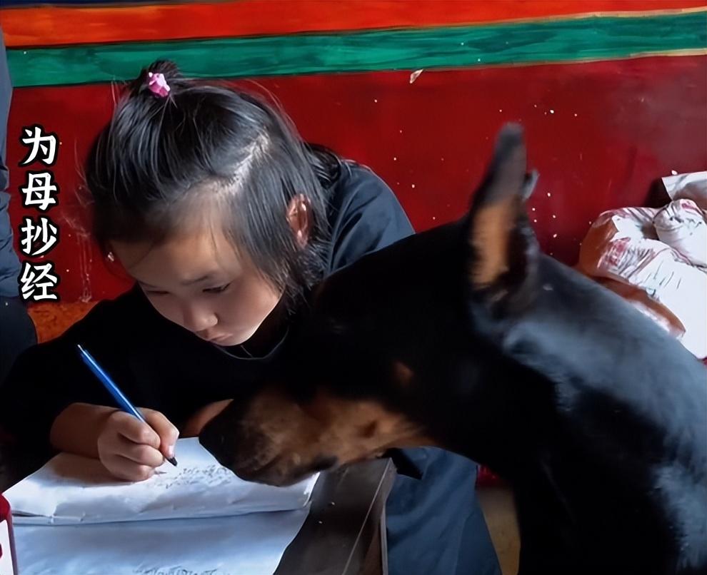 乐嘉人生导师现状,乐嘉跌落神坛