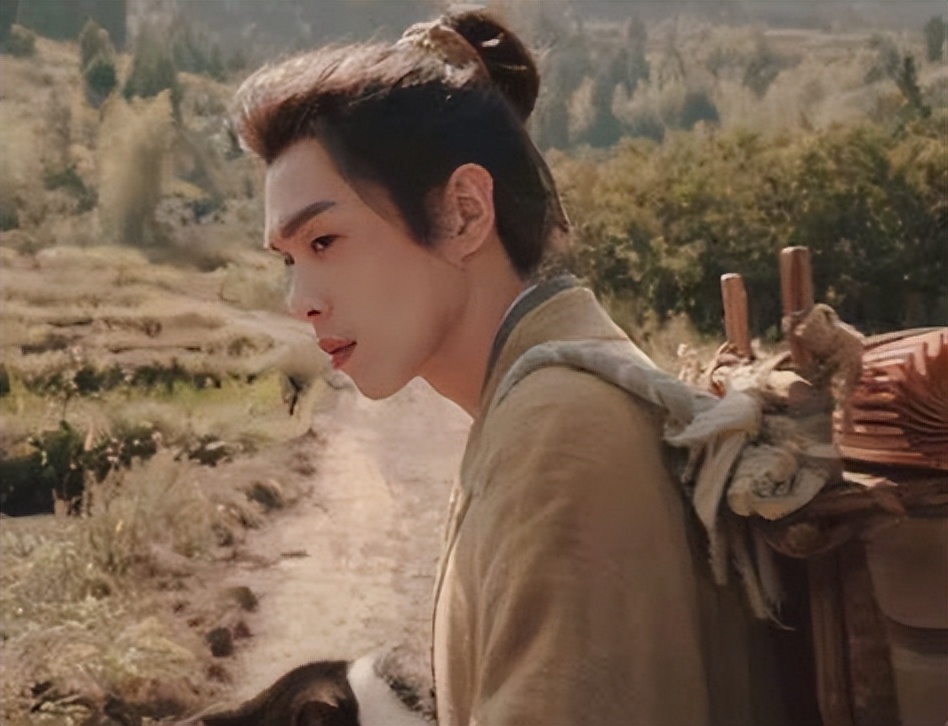 大明丝绢案中帅家默是真的傻吗,大明丝绢案中帅家默的结局