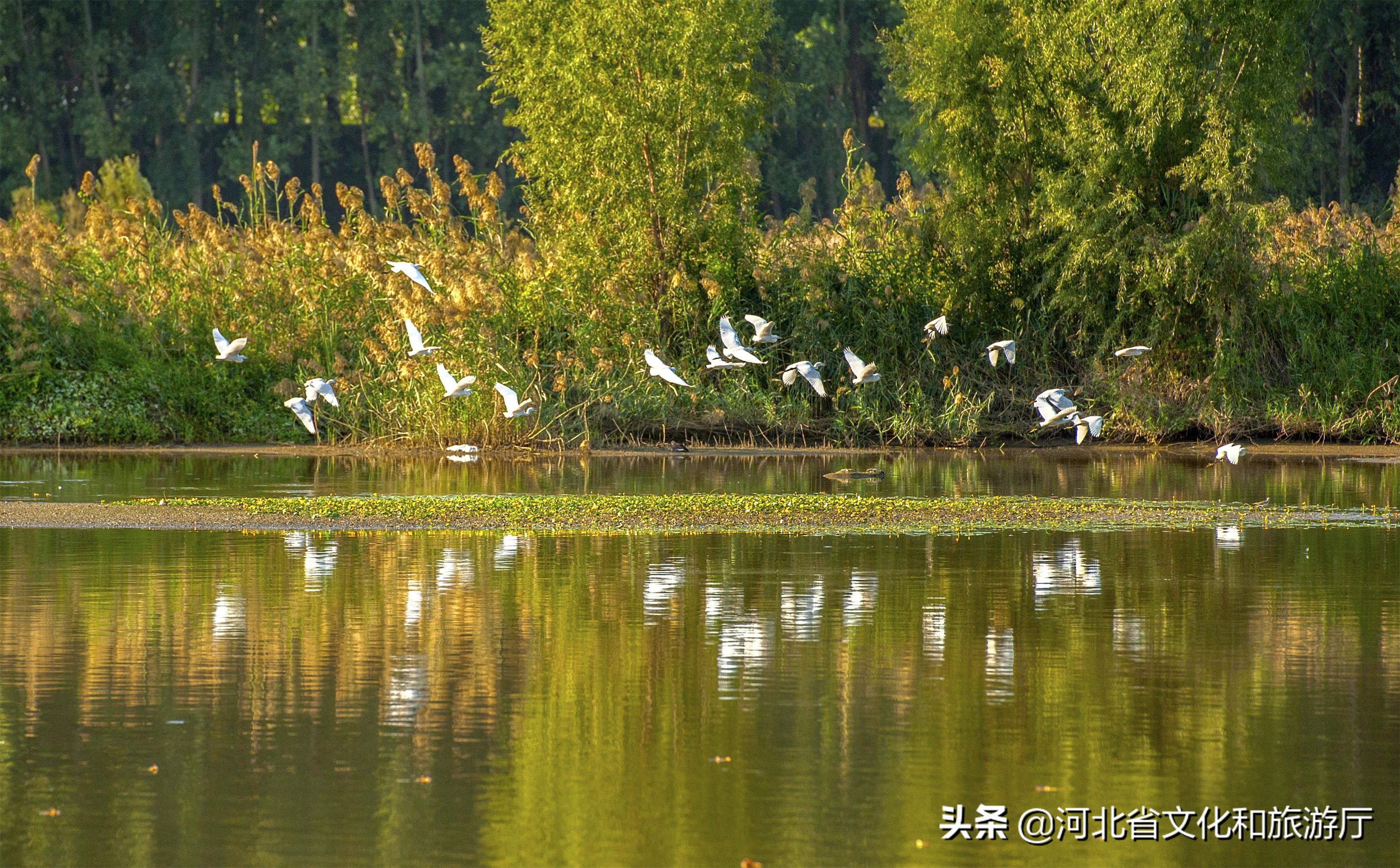 廊坊香河最美景点,廊坊香河运河古韵展新颜