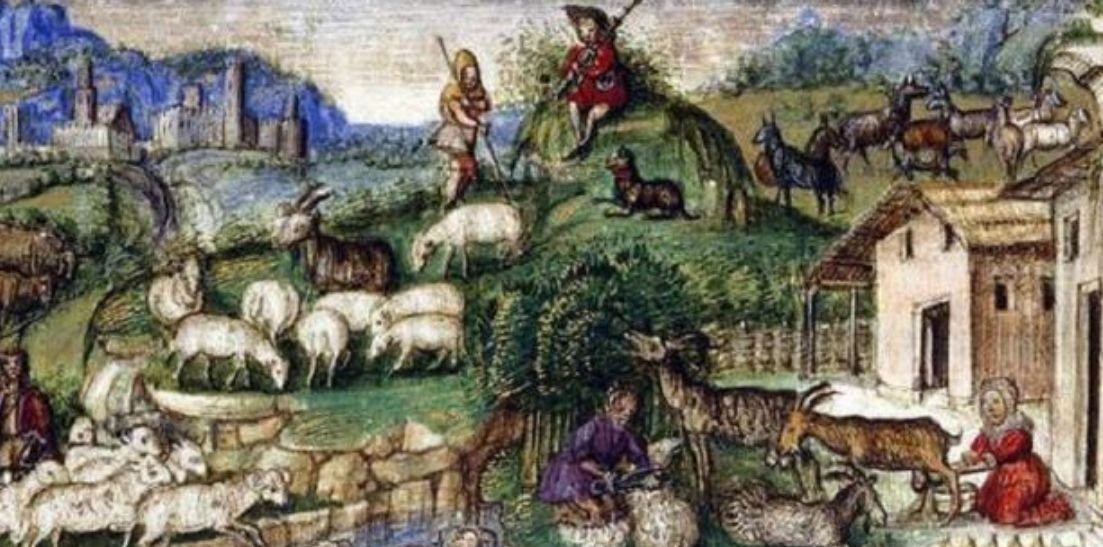 英国政府购买土地条件,英国土地政策