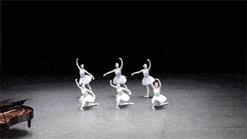 小鳄龟为啥养着养着就断尾了,以前不理解别人养宠物