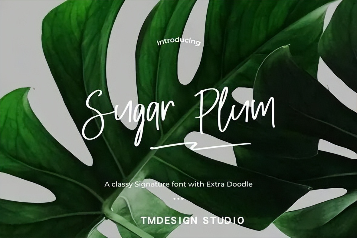 6款极致优雅手写字体,十大经典英文手写字体