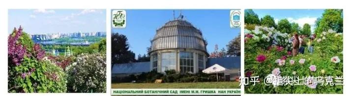 俄乌战争第一天攻占机场战斗详情,俄乌战争第45天战报及新闻综述