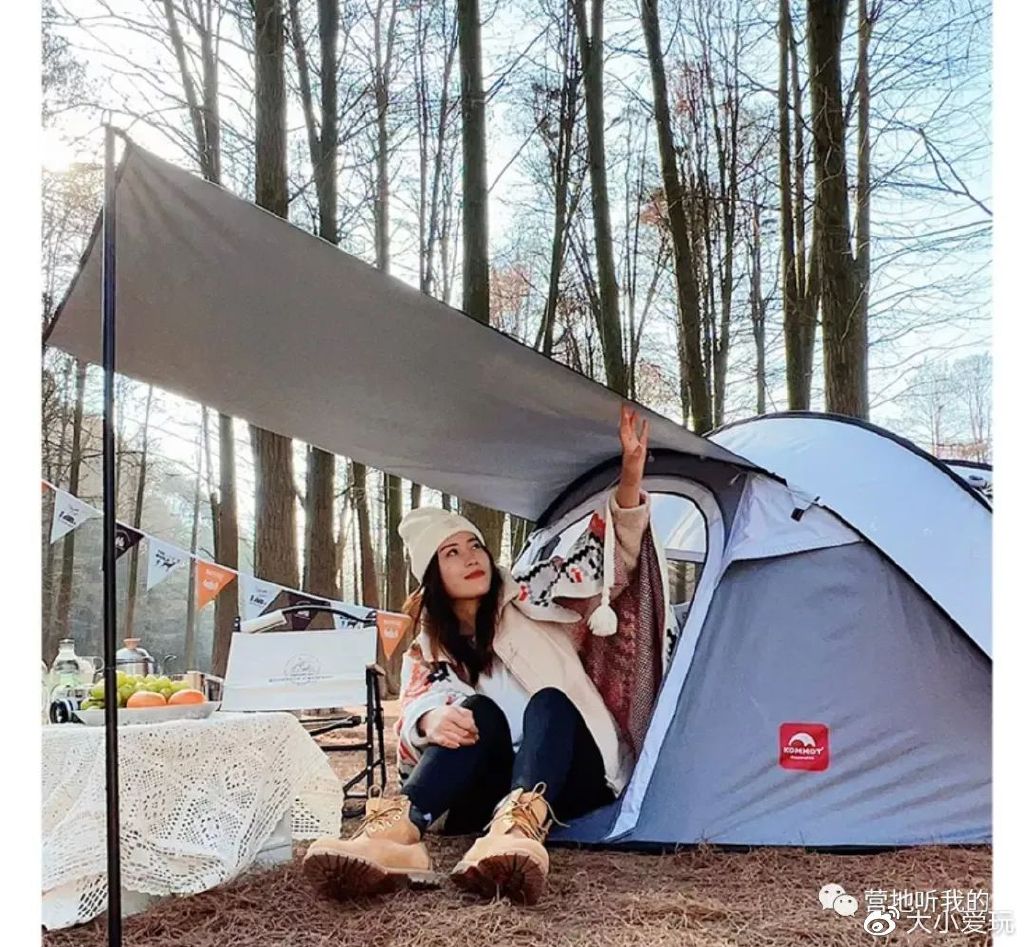 纠结买两百多的云台还是九百多的,纠结买不买野餐帐篷