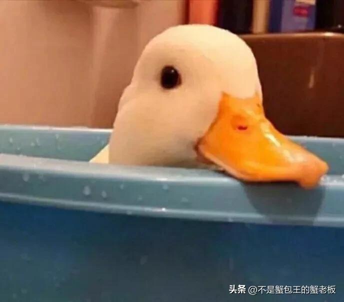 鍦ㄩ┚鏍$殑鏃ュ瓙娌℃湁鎮叉鍙湁绂诲悎,璧拌繘椹炬牎娌℃湁绂诲悎鍙湁鎮叉