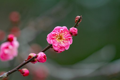 明天自有明天的忧愁,把明天的烦恼交给明天
