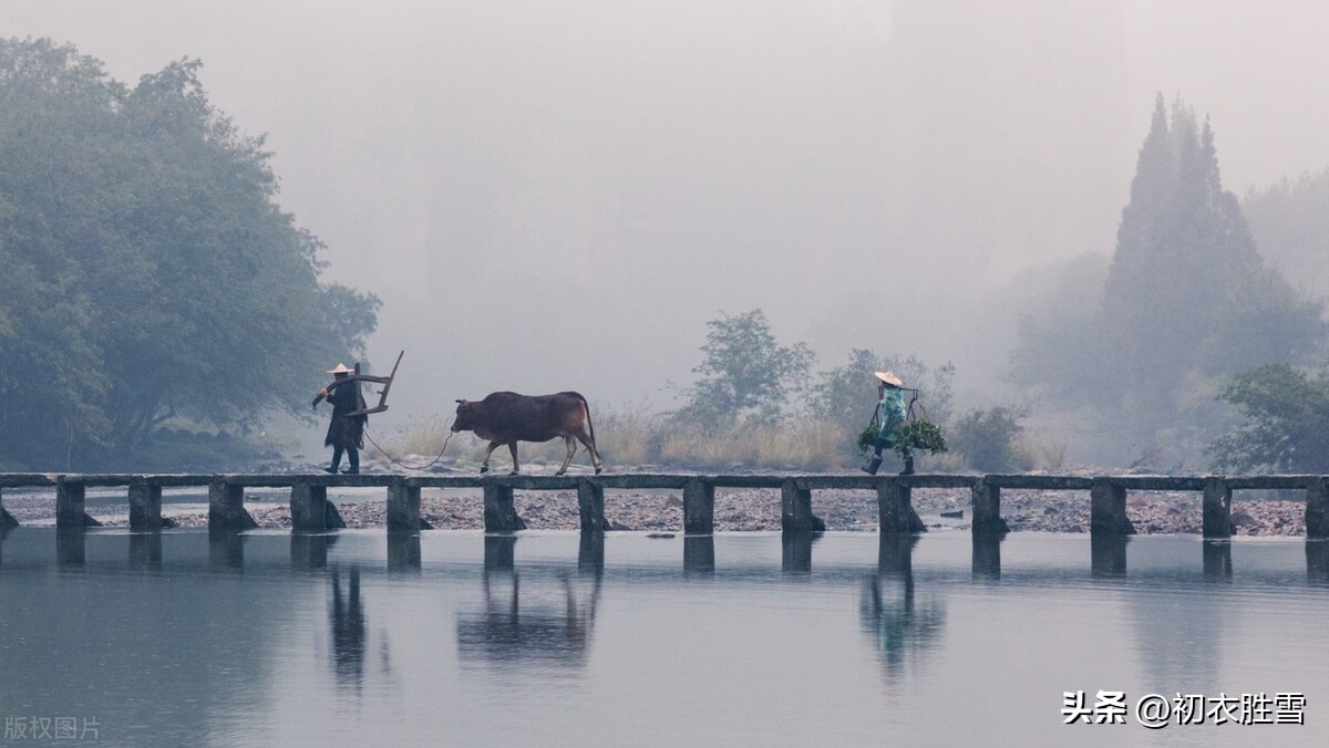 雨水节气诗词精选,雨水节气诗词十首