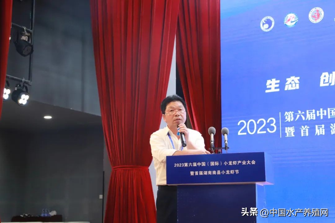 2023年南县小龙虾价格行情,南县小龙虾价格报价