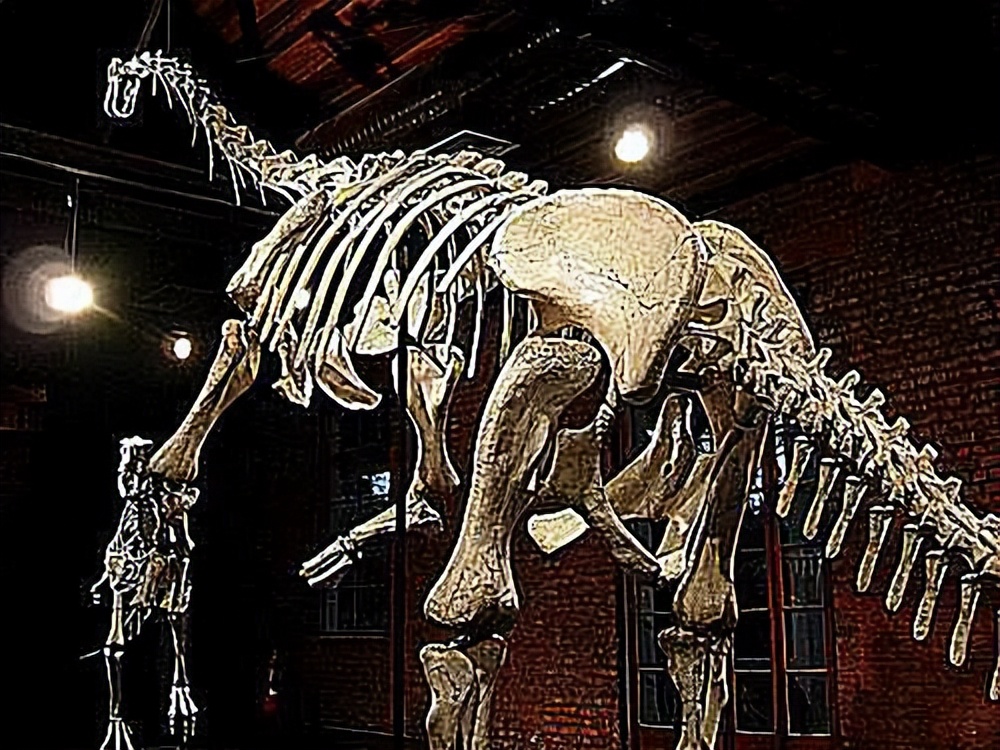 恐龙时代泰坦巨龙与雷龙,泰坦巨龙恐龙化石