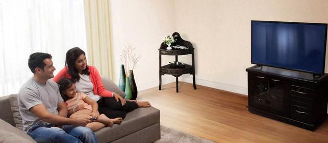 效果广告和程序化广告,计算机广告制作和计算机网络应用