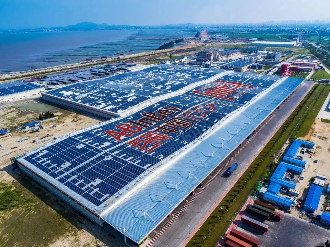 华润啤酒青岛啤酒,华润啤酒和青岛啤酒哪个好