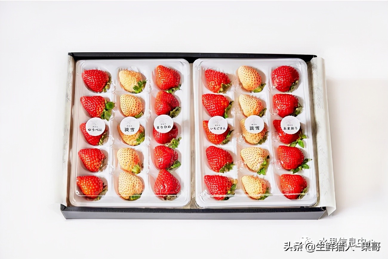 在水果中浆果是分哪几种,水果分类浆果